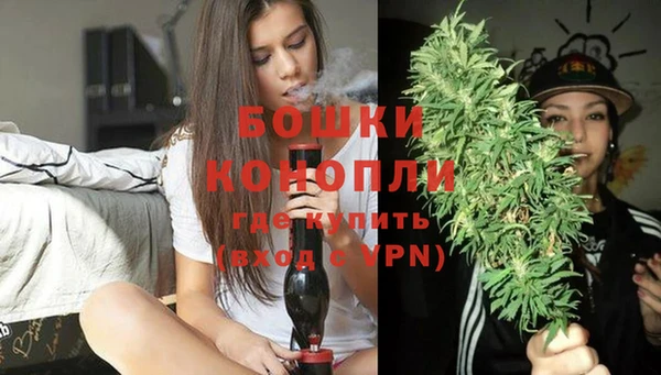 прущая мука Нея