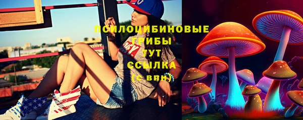 jwh Нефтекумск