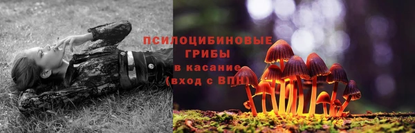 jwh Нефтекумск