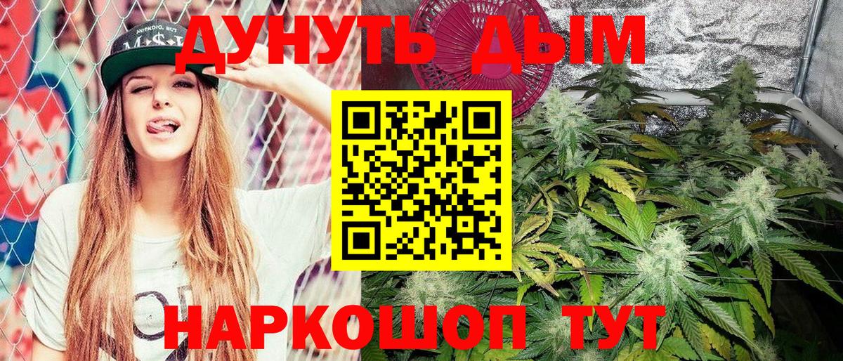 Шишки марихуана сатива Киров
